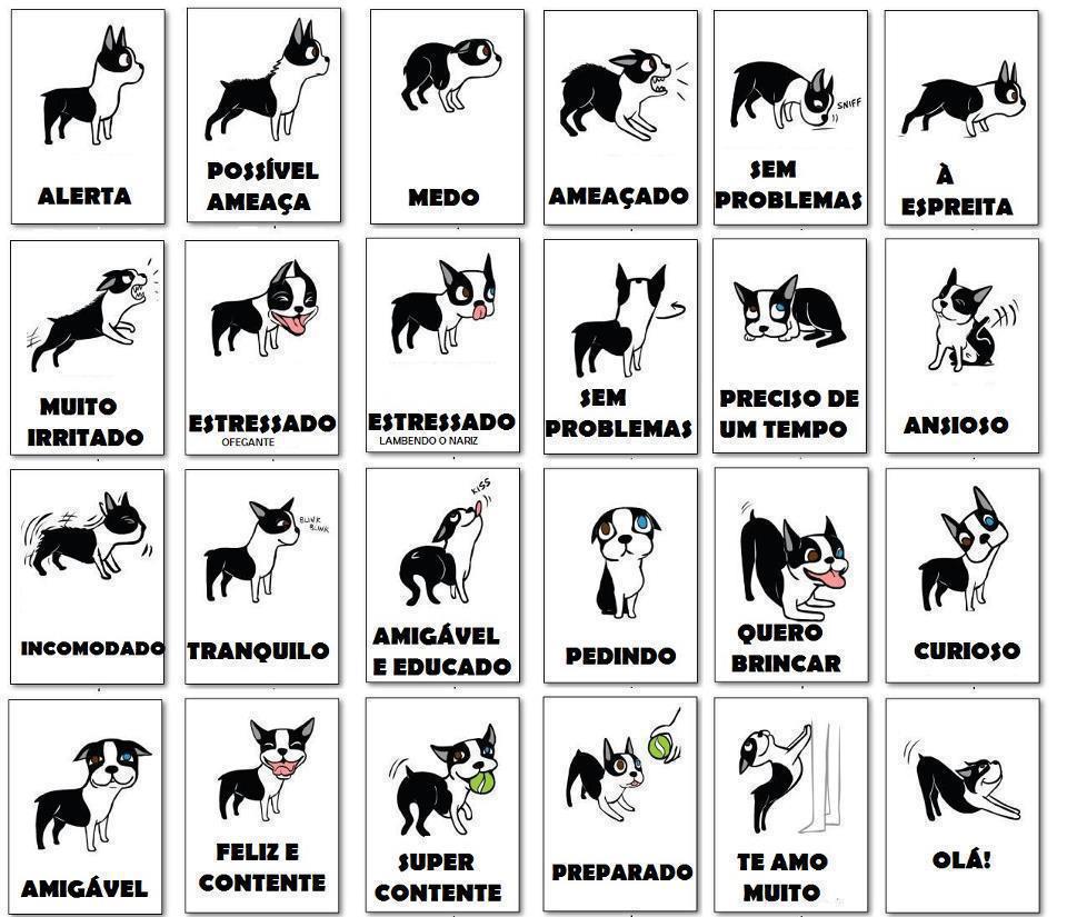 犬の言葉 - 身体、表情、鳴き声