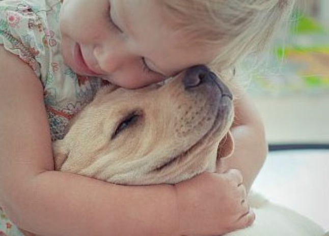 10 malalties que poden passar del gos al propietari