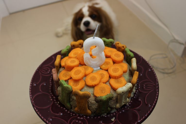 recepta de pastís d'aniversari del gos