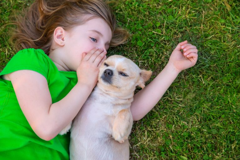 4 Gründe, warum Sie mit Ihrem Hund sprechen sollten