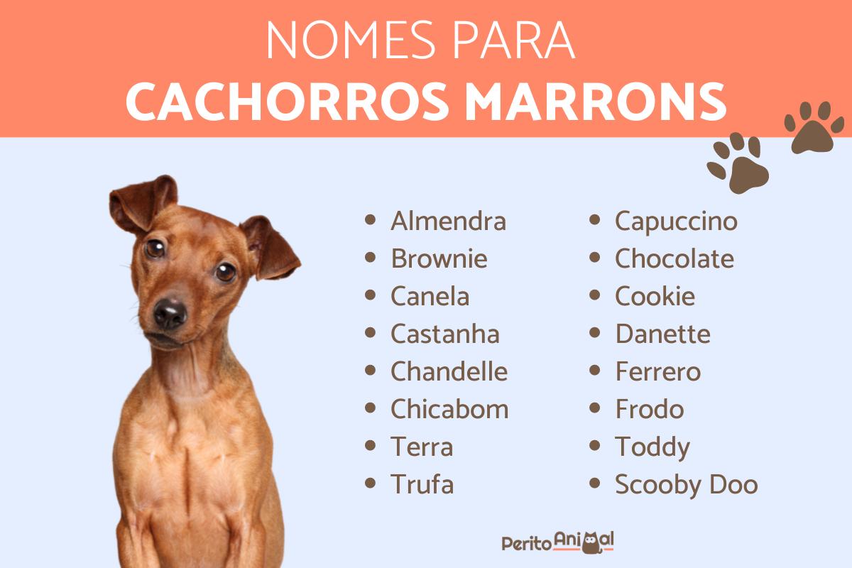 имена за псе