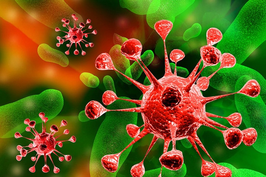 Mikroblar: viruslar, bakteriyalar və göbələklər