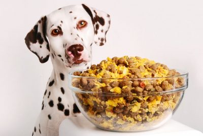 Puc donar el meu menjar o les restes al meu gos?